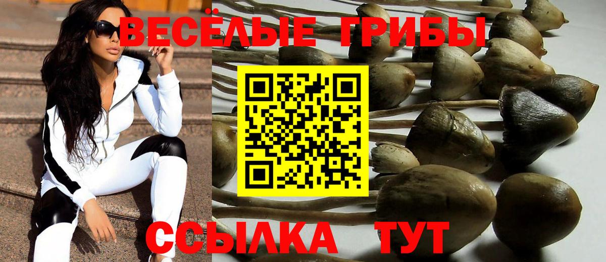 Псилоцибиновые грибы прущие грибы Саров
